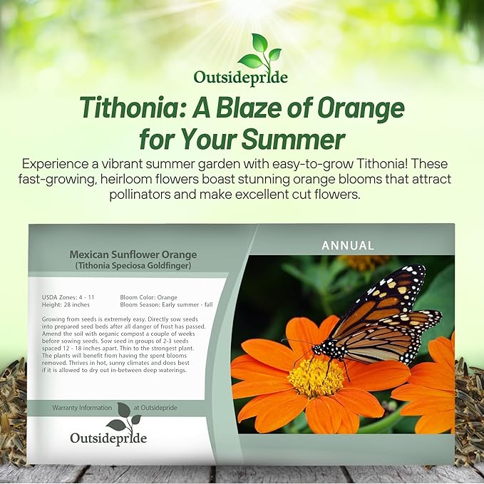Outsidepride Goldfinger Mexican Sunflower Seeds - 1000 Pcs Annual, Easy-to-Grow, Orange Tithonia Speciosa Flower Seeds w/Drought-Tolerant Blooms for Pollinator Gardens & Vibrant Summer Landscaping