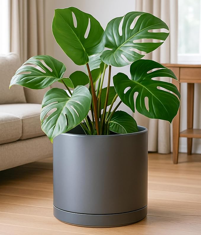 D'vine Dev 14 Inch Ceramic Planter Pot with Drainage Hole and Saucer, Indoor Cylinder Round Planter Pot, Speckled Grey, 94-O-G-3