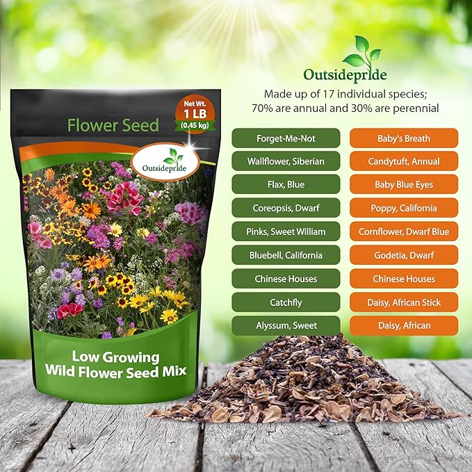 Outsidepride Low Growing Wildflower Seeds - 1 lb Dwarf, & Short, Diverse Perennial & Annual Wild Flower Seed Mix with Long Bloom Season for Colorful Display That Thrives on All States