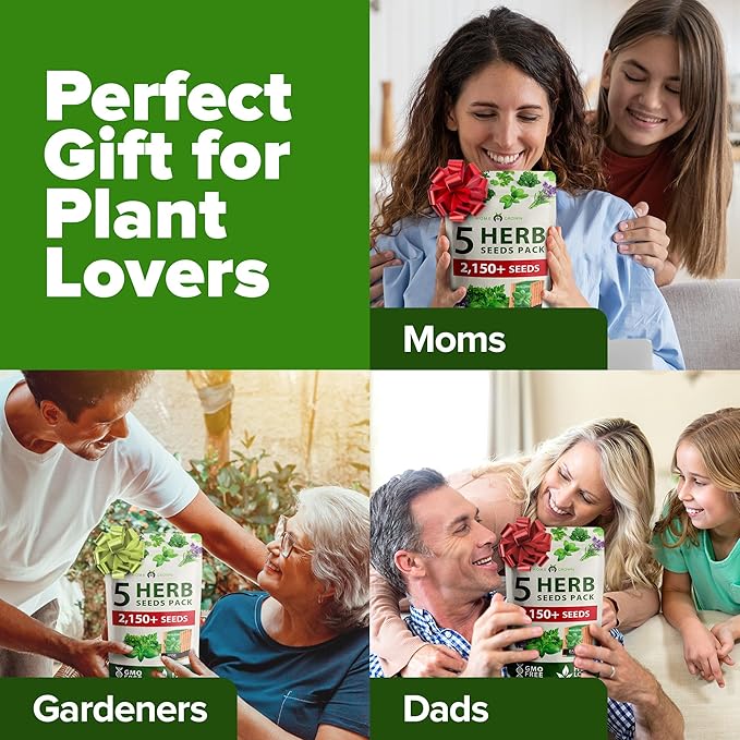 HOME GROWN 5 Herb Seeds for Planting 2,150+ Non-GMO Heirloom Seeds | Extra Large Variety Pack Herb Kit – Indoor Outdoor & Hydroponic | Culinary Seed Set | Grow Your Own Herbs | Gift for Beginners
