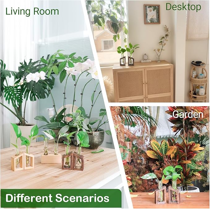 Ivolador Test Tube Propagation Stations Pothos Planter Terrarium Container Perfect for Propagating Hydroponic Plants Home Office Garden Decor Wedding -2 PCS