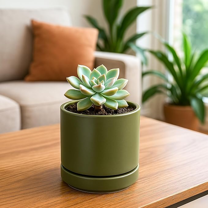 D'vine Dev Set of 4 Small Ceramic Plant Pots, 4.6 Inch Succulent Planter Pot for Plants with Drainage Hole and Saucer, Olive, 94-X-B-0