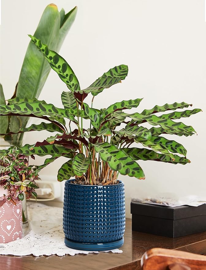 D'vine Dev 6 Inch Ceramic Beaded Stoneware Planter Pot - Flower Pot with Drainage Holes and Saucers for Indoor Succulent Plants or Flowers, Midnight Blue, 27-C-X-3