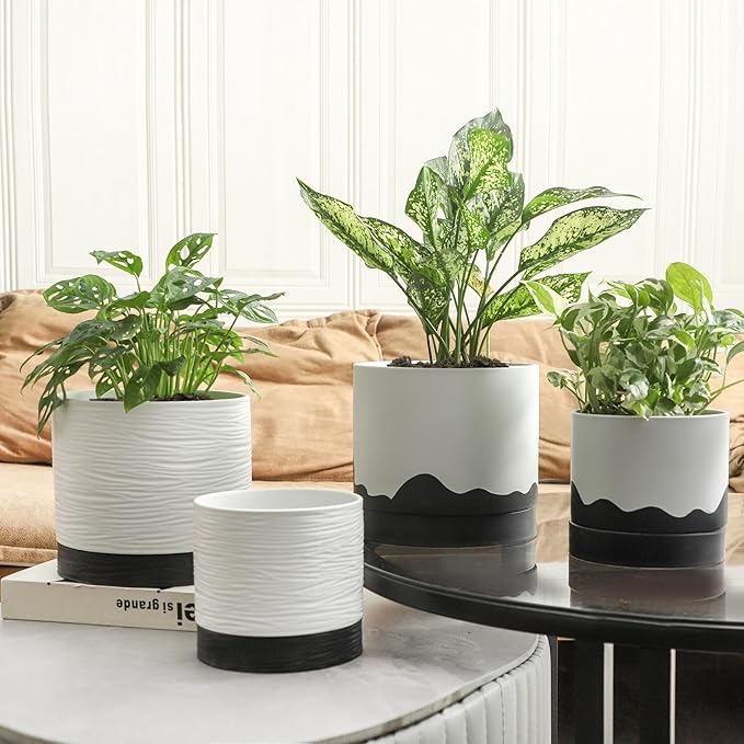 Nihow Ceramic Plant Pot: 8 Inch Planter with Drainage Hole & Saucer for Indoor & Outdoor Plants - Cylinder Round Flower Pot for Succulent/Herbs/Violets - White & Wave Black