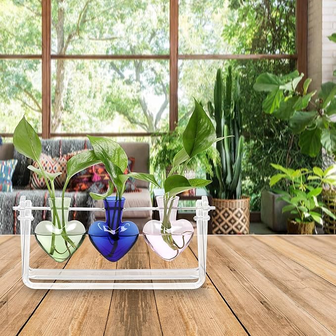 Plant Terrarium Propagation Stations with Acrylic Stand Birthday Gifts for Women Plant Stand Indoor Office Home Decor