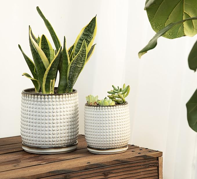 D'vine Dev 6 Inch 4 Inch Ceramic Indoor Planter Pots with Drainage Hole and Saucer, Beaded Design Flower Pots, Set of 2, Smoked White, 27-D-U-1