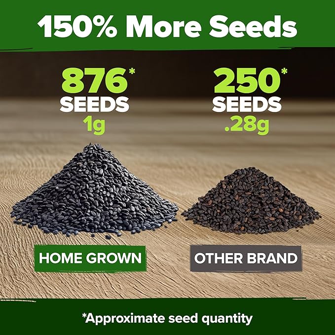 HOME GROWN Thai Basil Seeds Pack - 876 High Germination 𝗡𝗢𝗡-𝗚𝗠𝗢 𝗨𝗦𝗔 Heirloom Herb Seeds for Planting,Ideal for Growing Fresh Basil Planting Indoor or Outdoor(Ocimum basilicum var.thyrsiflora)
