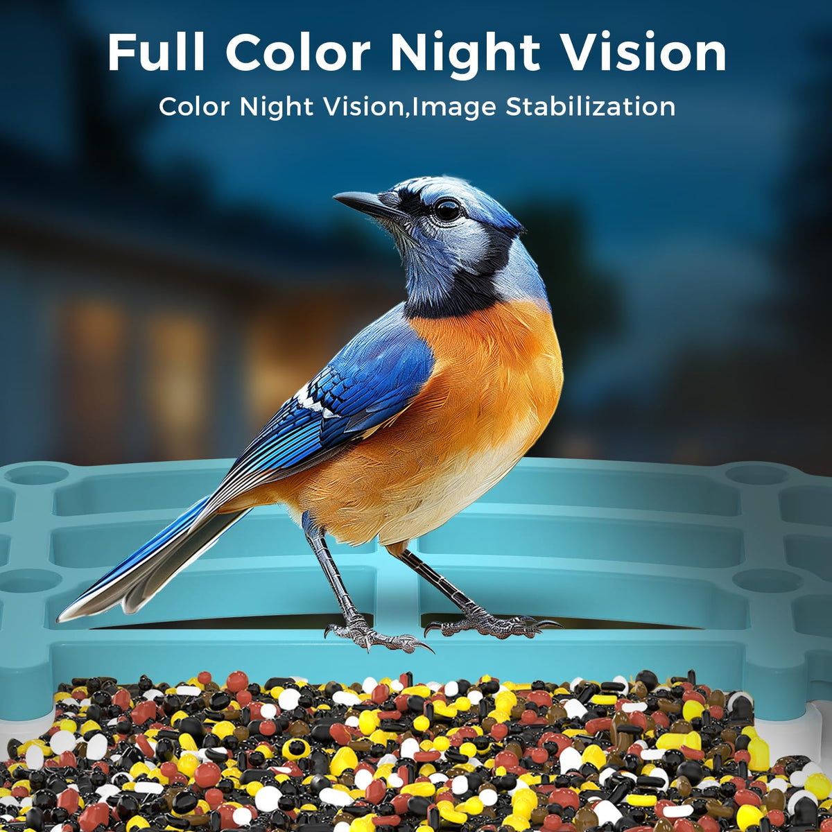 Smart Bird Feeder with Camera Integrated Solar Roof, Bird House with Camera