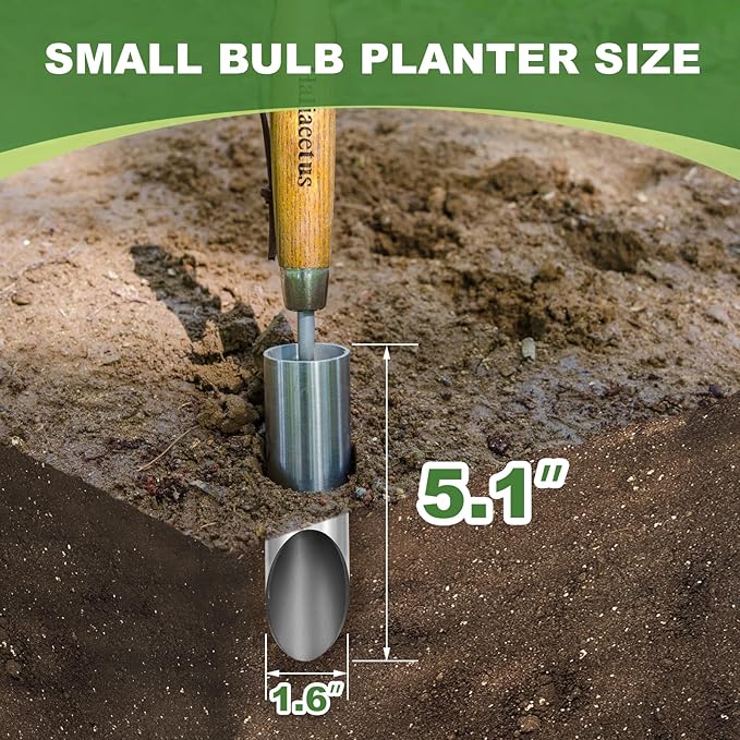 Haliaeetus Small Bulb Planter Tool, Sharp Edge Bulb Planter for Breaking Through Soil, Heavy Duty Stainless Steel Bulb Planter Tool, Small Bulb Digger with Comfortable Wood Handle for Seed Planting
