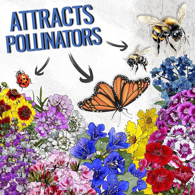 Seed Needs Low Growing Wildflower Flower Seeds for Planting | 5 Packs (1 Ounce Each) Mixture/Blend 17 Varieties | Resealable Package Multicolored Blooms Open Pollinated Mixed Species | Bulk