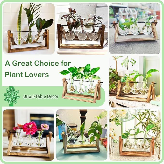 Ivolador Plant Propagation Station,Bulb Plant Terrarium with Wooden Stand,Unique Gardening Gifts for Women Plant Lovers,Hydroponic Indoor Planter Home Office Garden Wedding Decor-3 Bulb Glass Vases