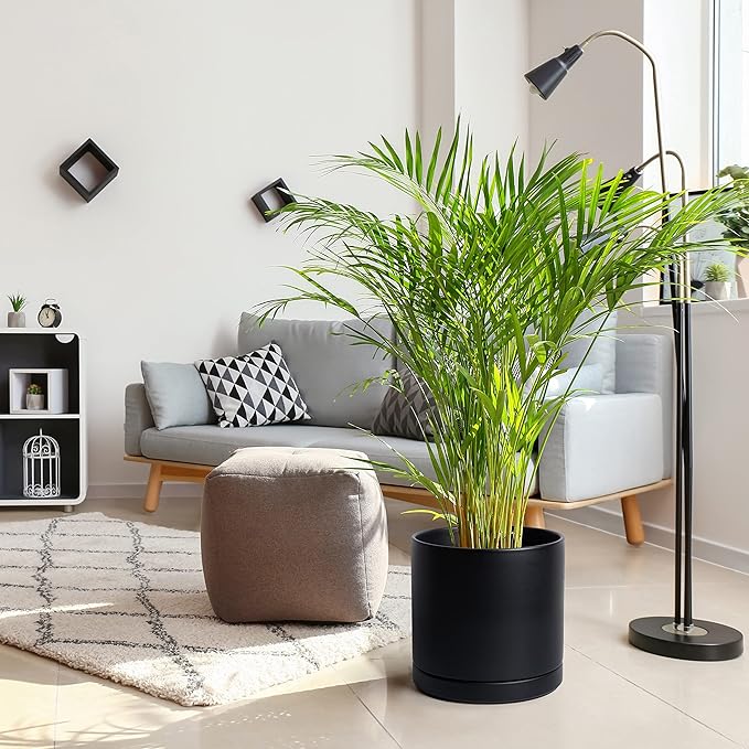 D'vine Dev 12 Inch Ceramic Planter Pot with Drainage Hole and Saucer, Indoor Cylinder Round Planter Pot, Black, 94-O-F-2