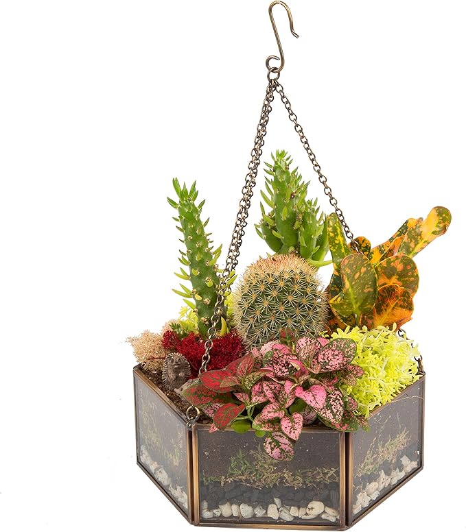 Deco Glass Geometric DIY Terrarium, Succulent & Air Plant- Hanging Mini Hexagon Shaped for Indoor Gardening Decor- Create Your own Flower, Fern, Moss Centerpiece- Amazing Holiday and Wedding Gift