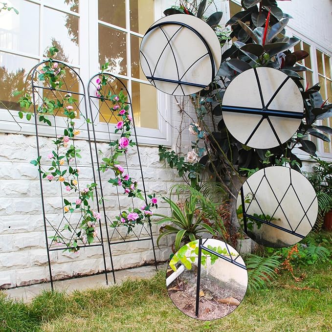 Garden Trellis for Climbing Plants Outdoor 2 Pack 59" H x 15.9" W Unique Design Metal Trellis for Cucumber, Tomatoes, Vines, Flower Beds, Roses - Rust Proof Iron
