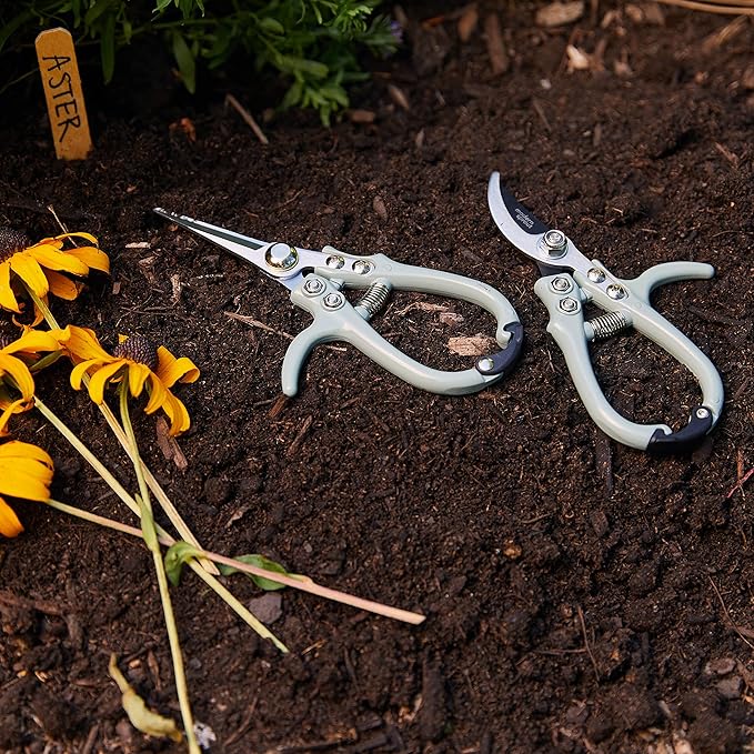 Modern Sprout Hand Pruners - Lightweight Pruning Shears W/Easy Lock- Gardening Scissors - Bypass Sharp Carbon Steel Blade - Rust Resistant - Garden Tools - Reusable Holster - Green
