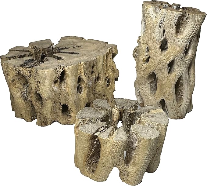3 Natural Cholla Wood Air Plant Display Holders Tiered 1, 2 & 3 inch Individually Unique Round Decorative Stands