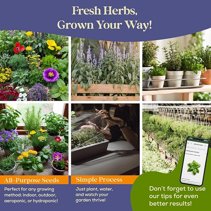 35 Medicinal & Tea Herb Seeds Variety Pack - 16,285+ Non-GMO Heirloom Herbs Seeds for Planting Indoor & Outdoor: Lavender, Rosemary, Echinacea, Mint, Catnip, Basil - Gardening Seed Packets
