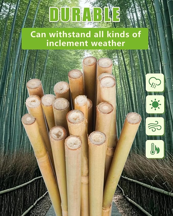 3ft Natural Bamboo Plant Stakes for Tomatoes, Beans, Flowers, Potted, Climbing Plants 25pcs