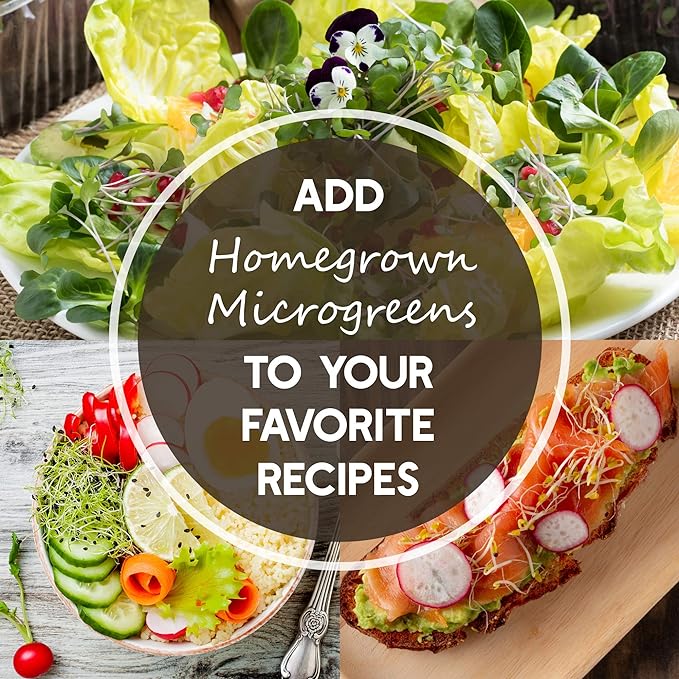 Buckwheat Seeds - 1 Lb ~15,000 Seeds - Organic, Non-GMO, Whole (Shell On) - Grow Buck Wheat Microgreens
