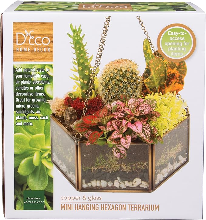 Deco Glass Geometric DIY Terrarium, Succulent & Air Plant- Hanging Mini Hexagon Shaped for Indoor Gardening Decor- Create Your own Flower, Fern, Moss Centerpiece- Amazing Holiday and Wedding Gift