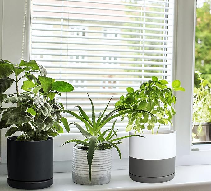 D'vine Dev 6 Inch Ceramic Planter Pot with Drainage Hole and Saucer, Indoor Cylinder Round Flower Pot, White/Speckled Grey, 94-O-C-6