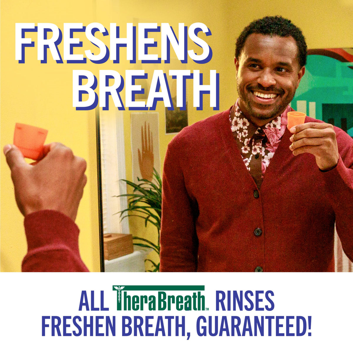 TheraBreath Healthy Gums Oral Rinse, Clean Mint, 16 fl oz, 2-Pack