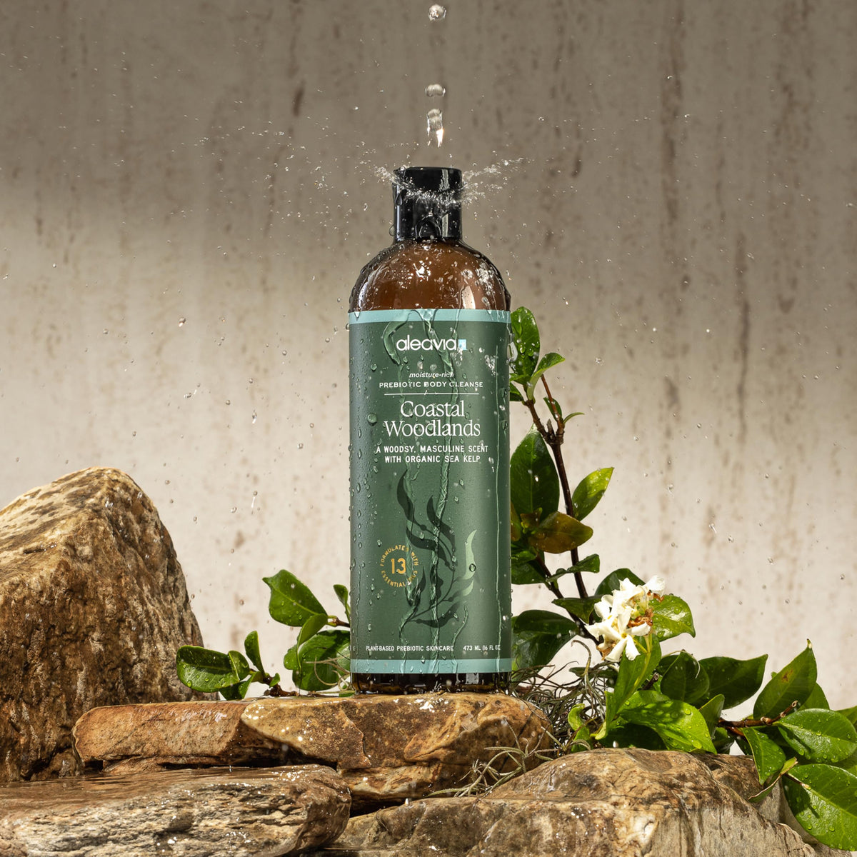 Aleavia Coastal Woodlands Mens Body Cleanse – Organic & All-Natural Prebiotic Body Wash for Men, Woodsy Notes Scented with 13 Essential Oils, – Nourish Your Skin Microbiome – 16 Oz.
