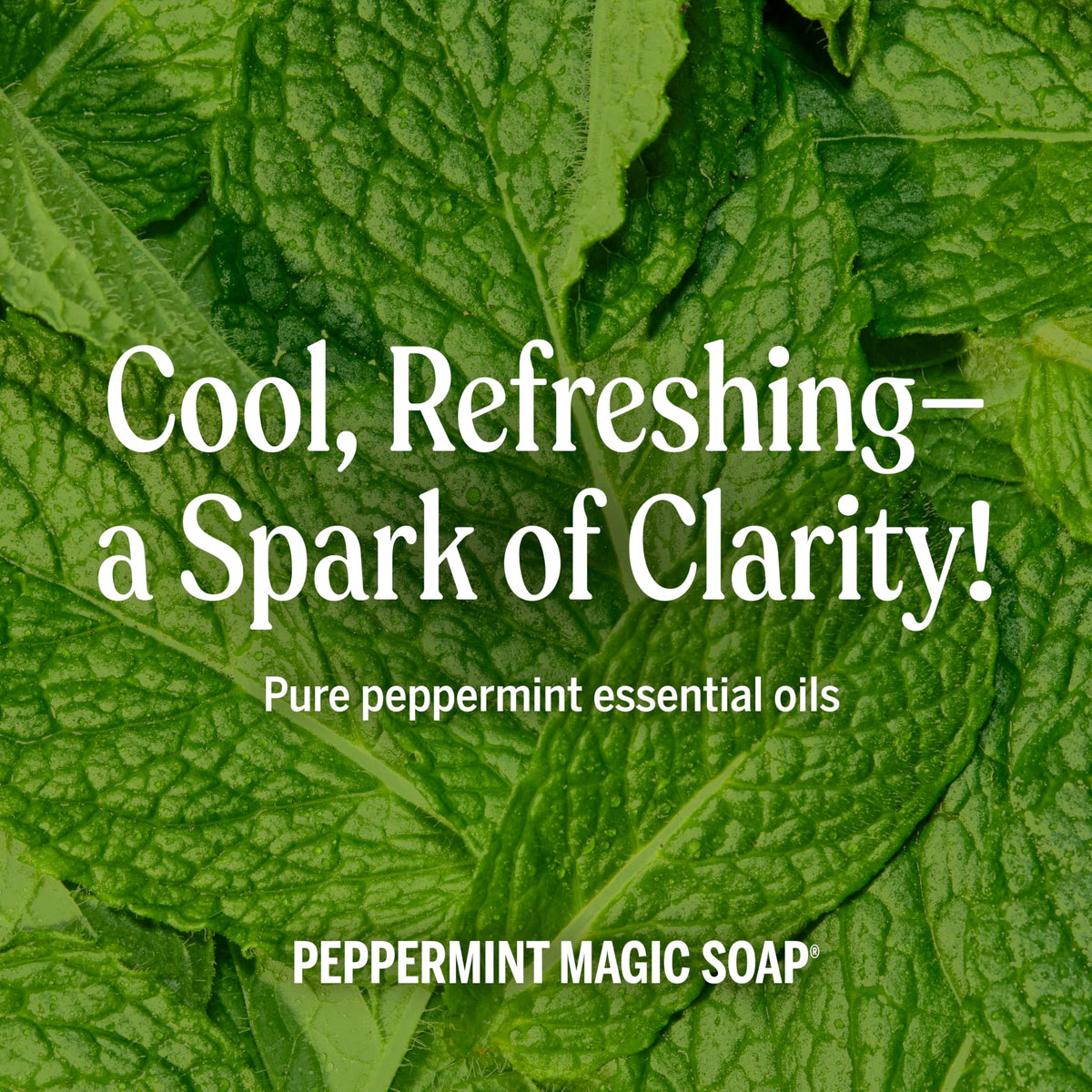 Dr. Bronner's Peppermint Pure-Castile Liquid Soap, Body Wash, 32 oz 2-Pack