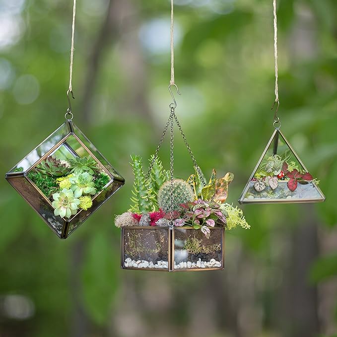 Deco Glass Geometric DIY Terrarium, Succulent & Air Plant- Hanging Mini Hexagon Shaped for Indoor Gardening Decor- Create Your own Flower, Fern, Moss Centerpiece- Amazing Holiday and Wedding Gift