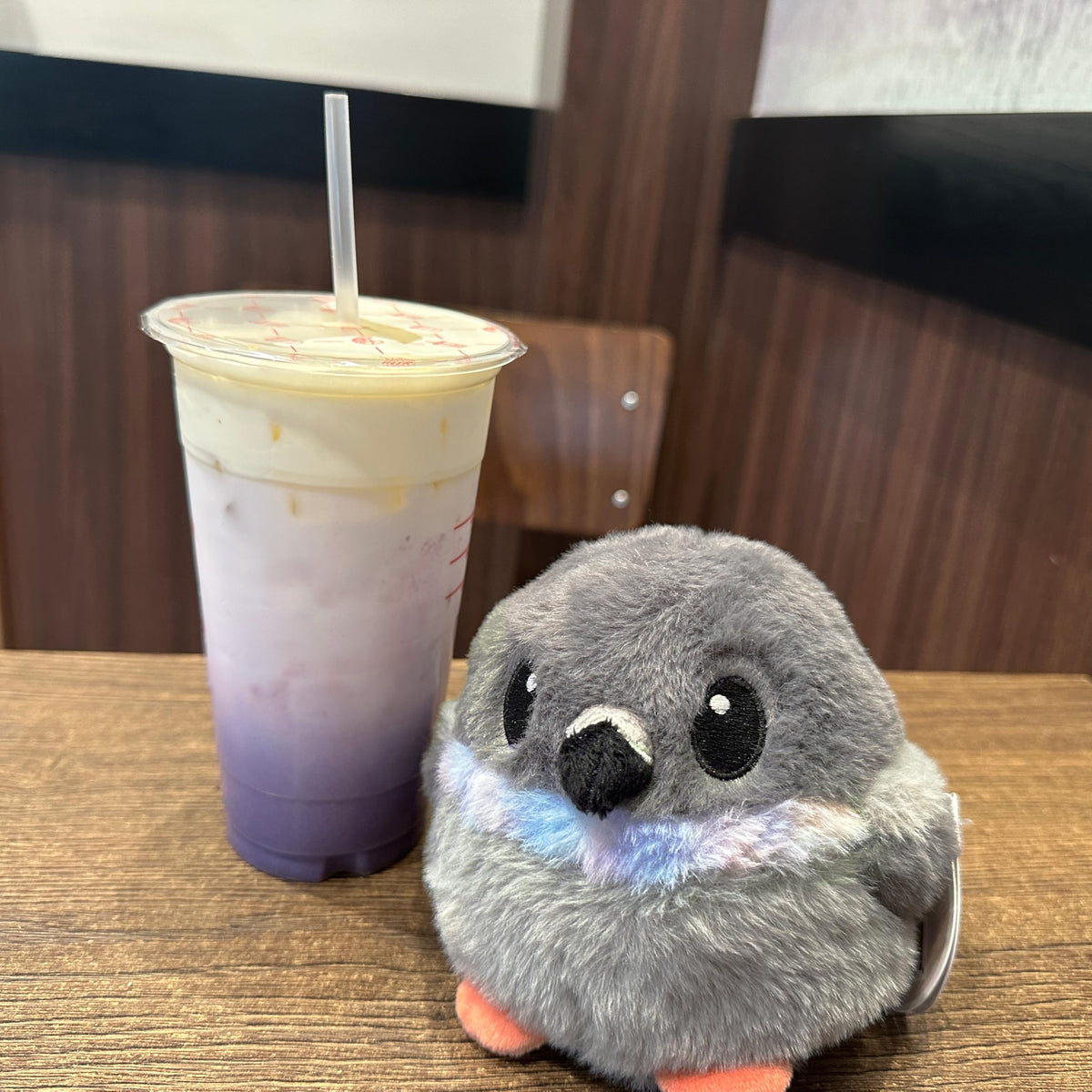 Pigeon Bird Plush with Weighted Fidget Beads. Stress Ball Rock Dove