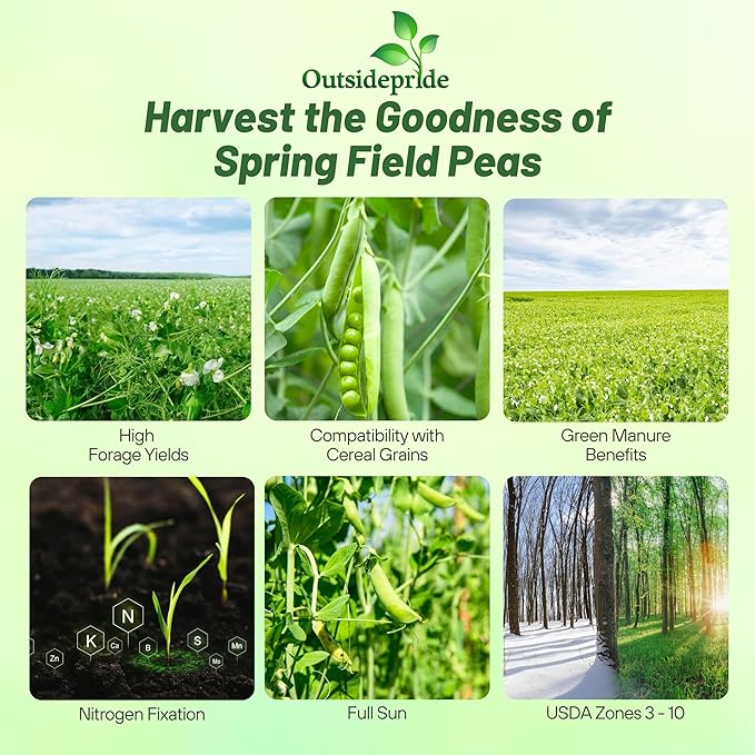Outsidepride Dundale Spring Field Peas Seeds - 1 lb. Annual, High-Protein Legume & Cover Crop Seeds for Forage, Food Plot, Gardens & Pastures - Ideal for Improving Soil Health, & Erosion Control