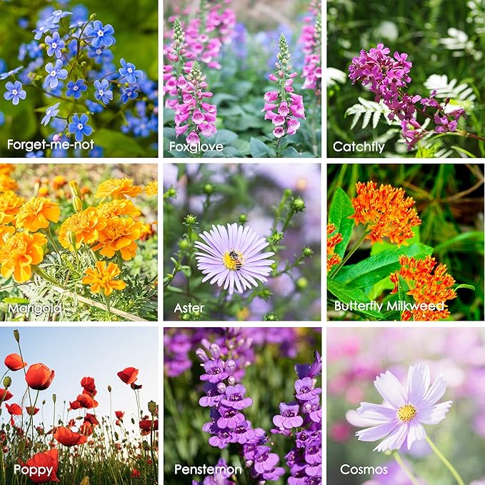 Wildflower Seeds Bulk, 2 Oz. 80,000+ Seeds – Butterfly & Hummingbird Mix with 23 Non-GMO Varieties – Pollinator Flower Seed for Planting