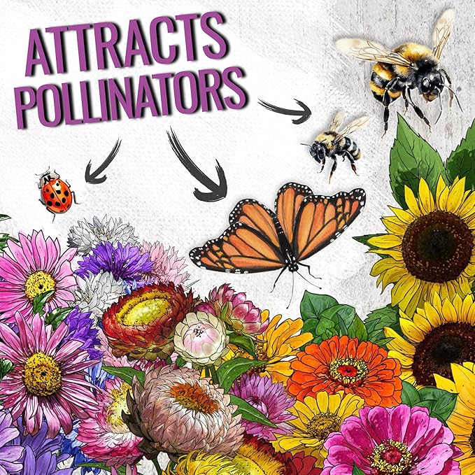 Seed Needs Garden Flower Seeds Large Blooms Mix Hummingbird and Butterfly | 5 Packs (1 Ounce Each) No Filler 7 Varieties Open Pollinated | Resealable Package Live Wild Flower Seed | Bulk