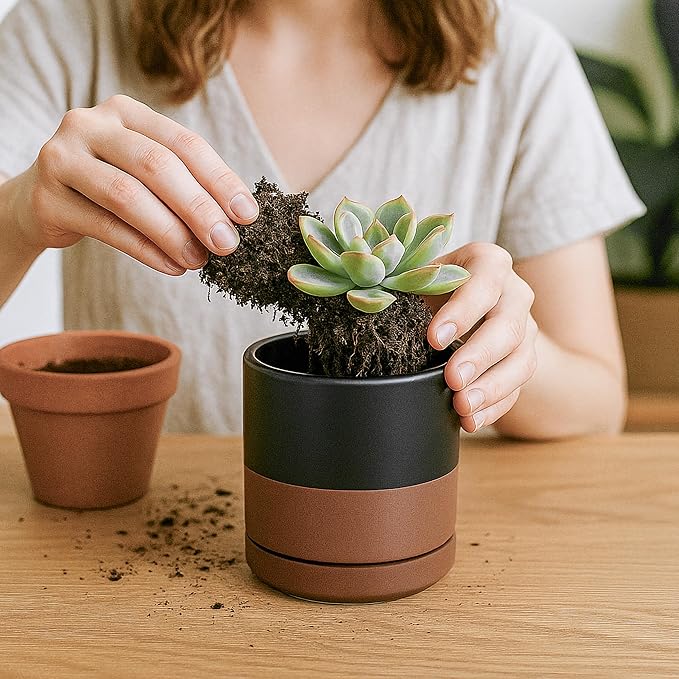D'vine Dev 3.5 Inch Ceramic Planter Pot with Drainage Hole and Saucer, Indoor Cylinder Round Planter Pot, Black/Speckled Tan, 94-O-A-7