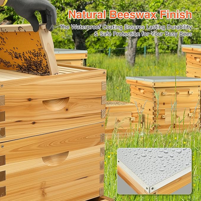 CREWORKS 10 Frame Bee Hive, 3 Layers Beeswax Coated Beehive Starter Kit with Frames & Foundations, Langstroth Bees Hives Box with Transparent Acrylic (Window Medium Box & 2 Deep Boxes)