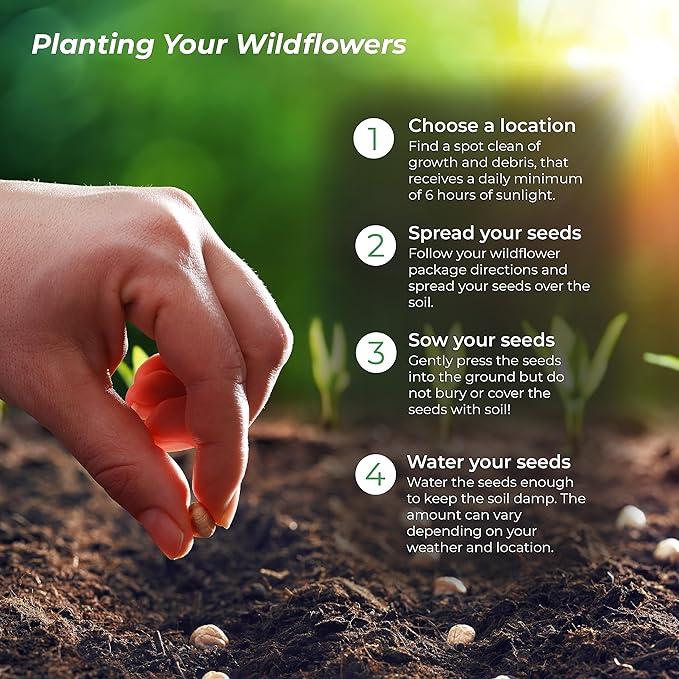 Created By Nature Maine Wildflower State Mix, 15 Flower Varieties, 50,000 Seeds