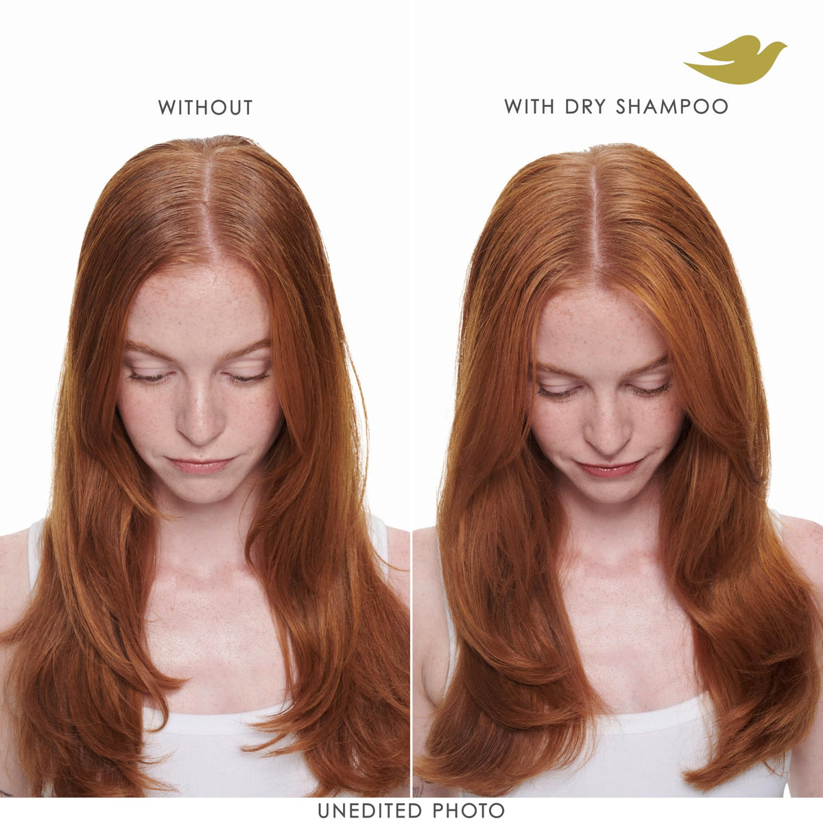 Dove Dry Shampoo Spray, Hair Volume & Fullness, Absorbs Oil, 5 oz (2-Pack)