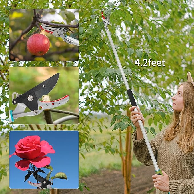 GARTOL Cut & Hold Pole Pruner, 4.2 FT Lightweight Fruit Picker with 180° Rotating Handle, SK5 Steel Blade Cuts up to 1/2 Inch, Long Reach Garden Tree Trimmer & Branch Cutter for Shrubs, Bushes