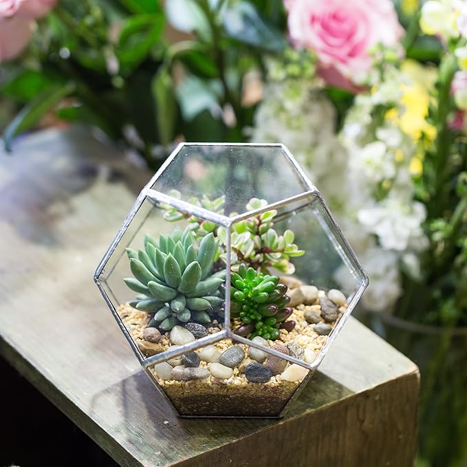 NCYP Small Silver Glass Geometric Terrarium for Succulents Air Plants, 6.89 x 6.89 x 5.9 Inches, Indoor Home Garden Planter Pot, Tabletop Decor Centerpiece, Handmade (Only Terrarium)