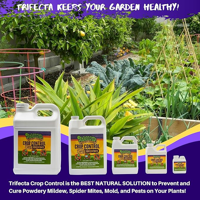 Trifecta Crop Control Super Concentrate All-in-One Natural Pesticide, Fungicide, Miticide, Insecticide, Help Defeat Spider Mites, Powdery Mildew, Botrytis, Mold and More on Plants 32 OZ
