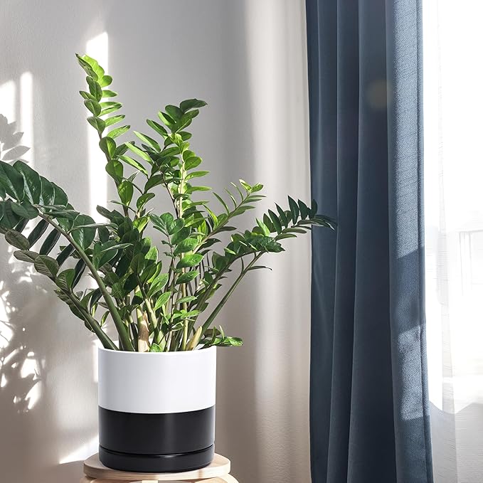 D'vine Dev 8.2 Inch Ceramic Planter Pot with Drainage Hole and Saucer, Indoor Cylinder Round Planter Pot, Layered Monochrome Black & White, 94-O-D-L