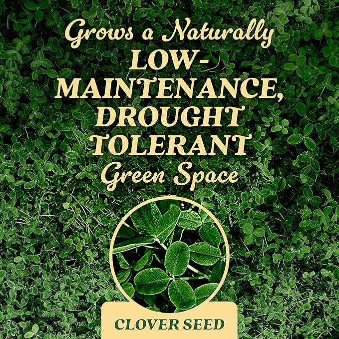 O.M. Scott and Sons Clover Seed, Lawn Seed Grows a Naturally Low Maintenance, Drought-Tolerant Lawn, 1,000 sq. ft., 2 lb.