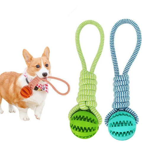 Rubber Ball Rope Chew Toy