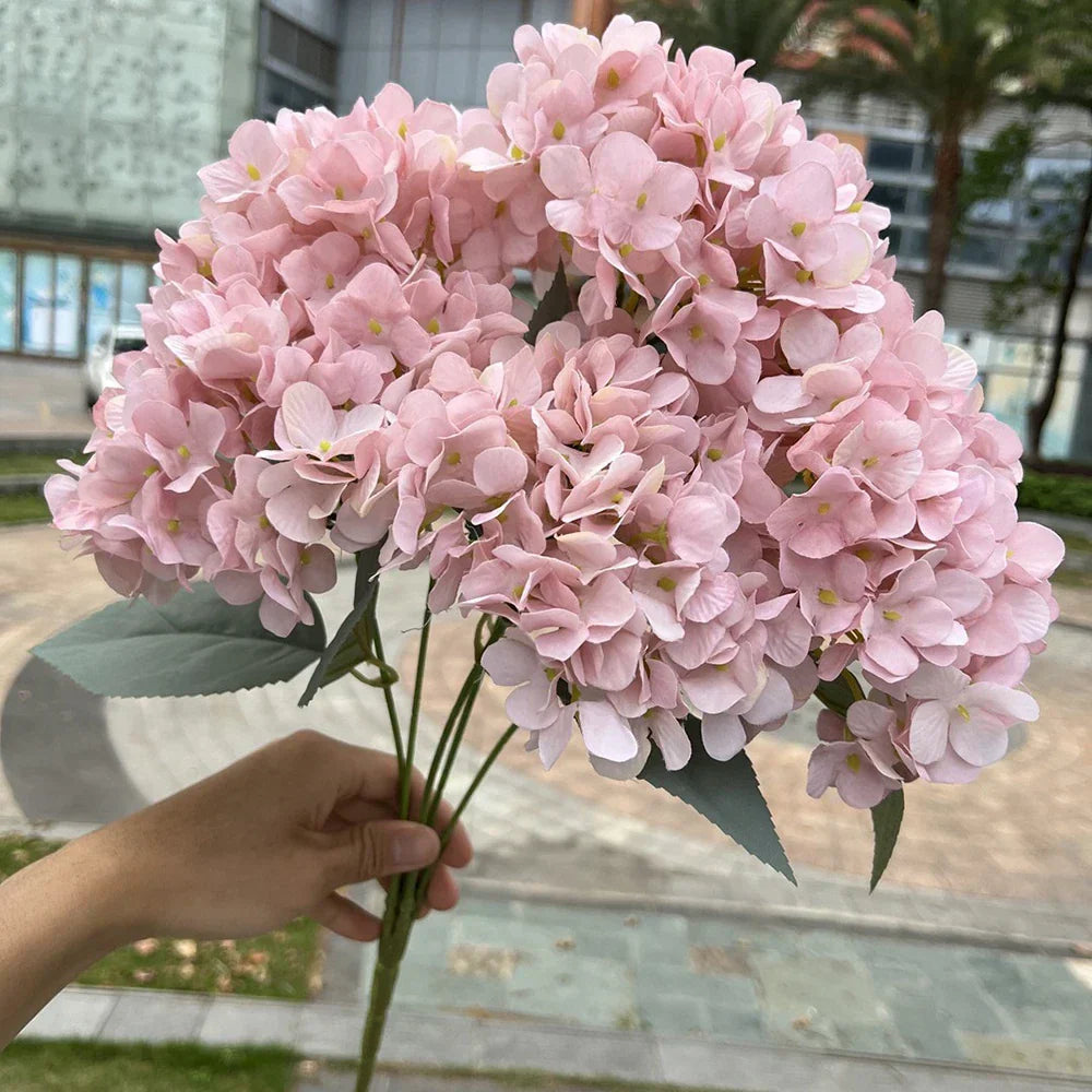Large Hydrangea Flower Head
