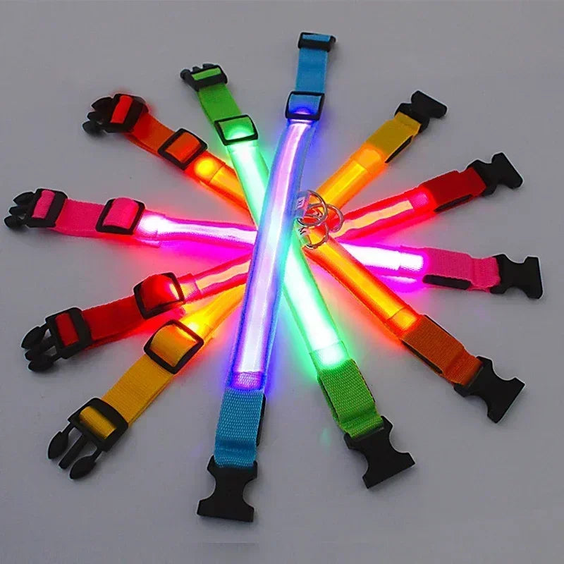 LED Rechargeable Dog Glow Collar
