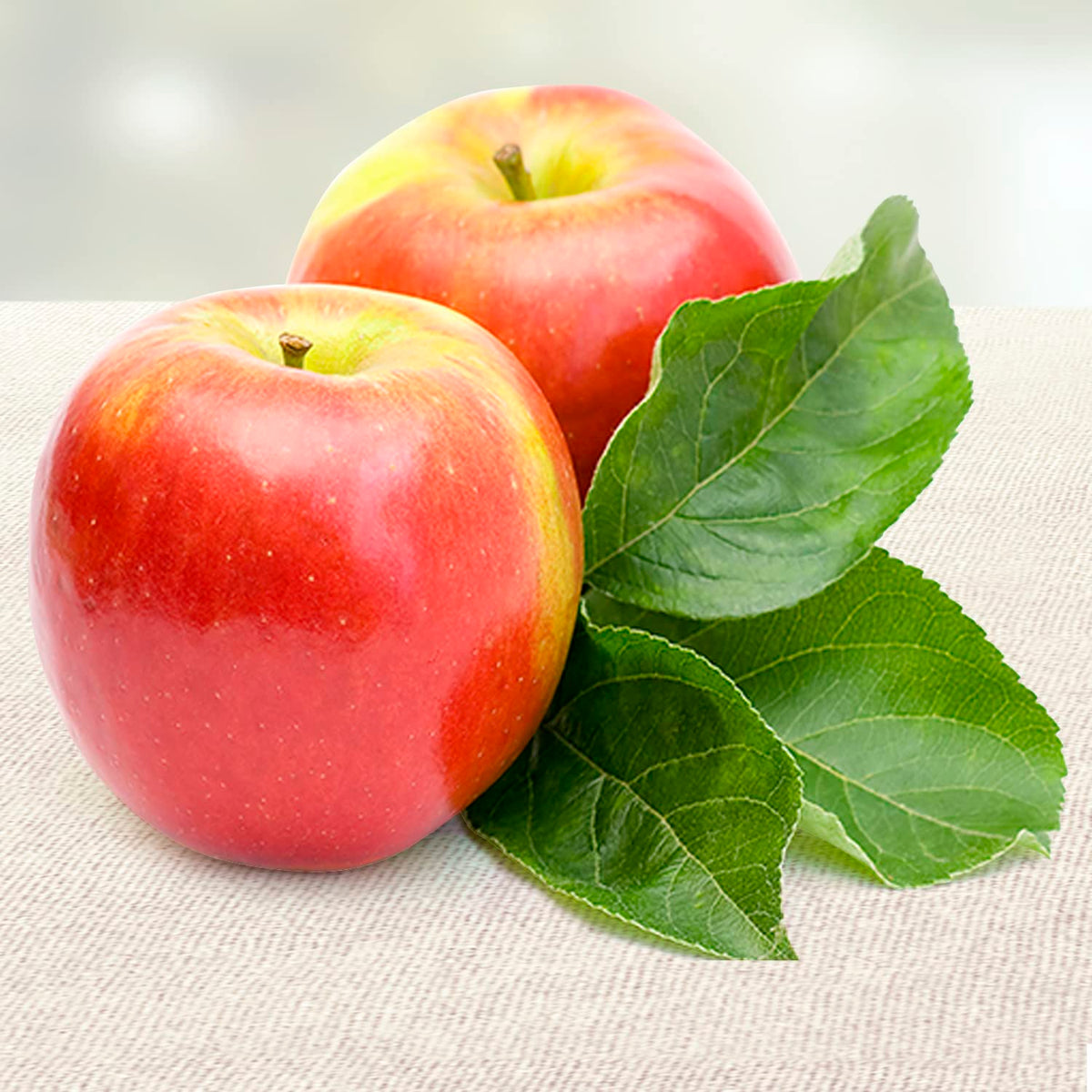 A Gift Inside All the Best Fruit Basket – Fresh Orchard Gift Set