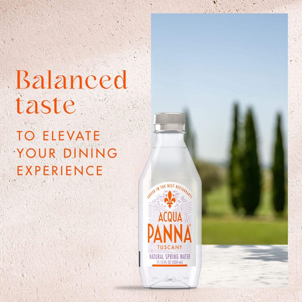 Acqua Panna Natural Spring Water — 24 Count (11.15 fl oz bottles) | Fine Dining Hydration