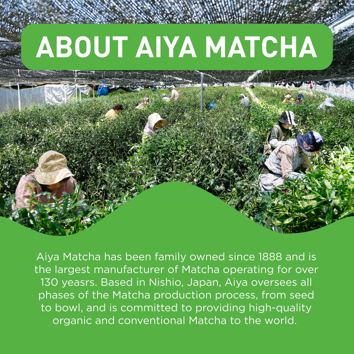 AIYA SINCE 1888 – Authentic Japanese Origin Culinary Grade Matcha (100g)
