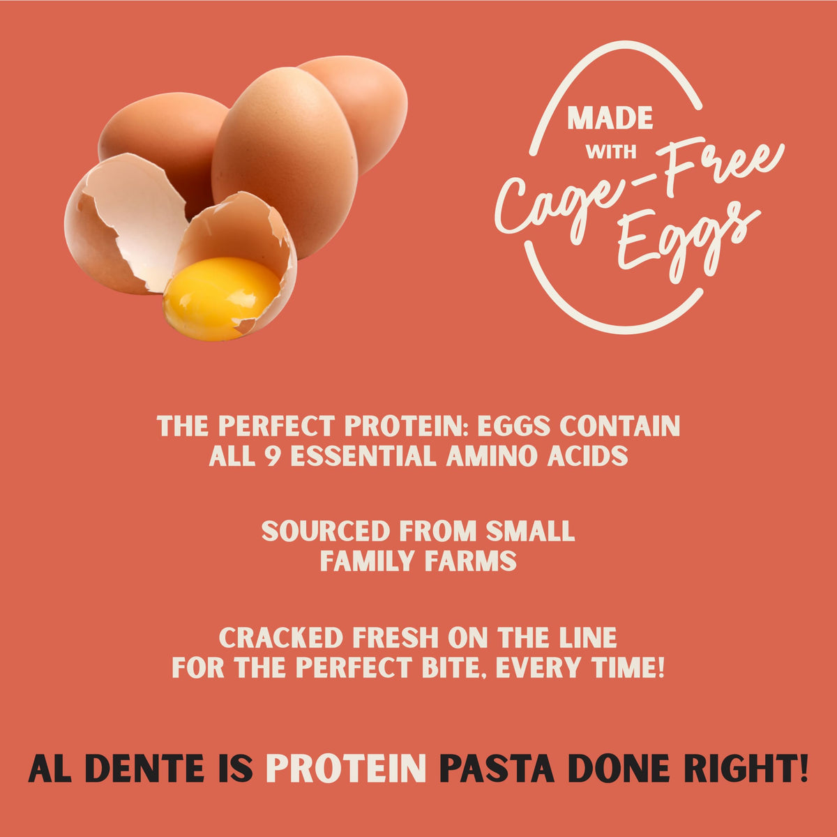 AL DENTE Protein Pasta Egg Fettuccine – 30g Protein per 3.5oz Serving, Lower Carb, High Fiber | 4 x 10oz Bags