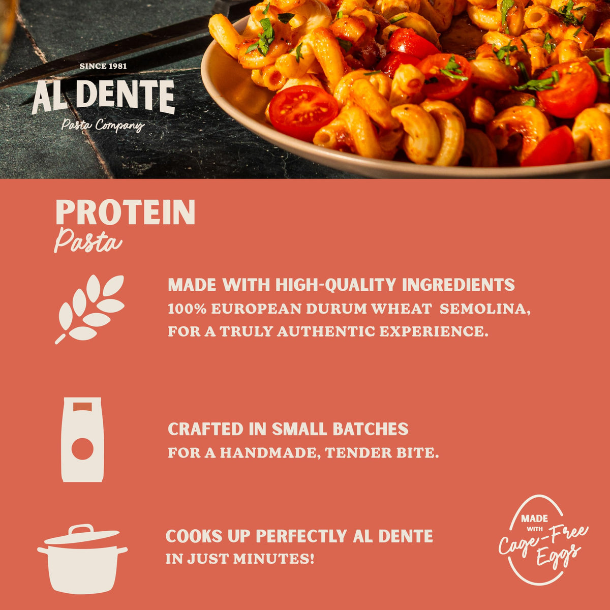 AL DENTE Protein Pasta Egg & Roasted Garlic Fettuccine – 30g Protein, 3.5 oz Serving, Lower Carb, Cage-Free Eggs & Semolina (Pack of 2, 10 oz Bags)